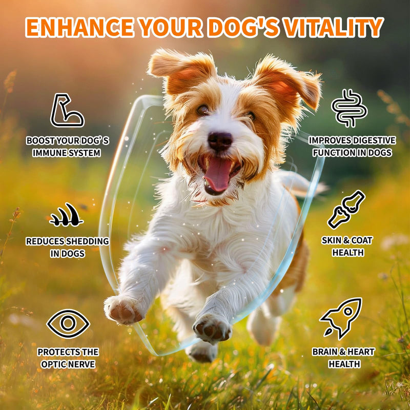 Dog Multivitamin Chewable - Dog Vitamins and Supplements with Glucosamine - 200 Chews - Hip & Joint, Pet Immune Support, Skin & Coat, Gut & Heart Health - Senior & Puppy