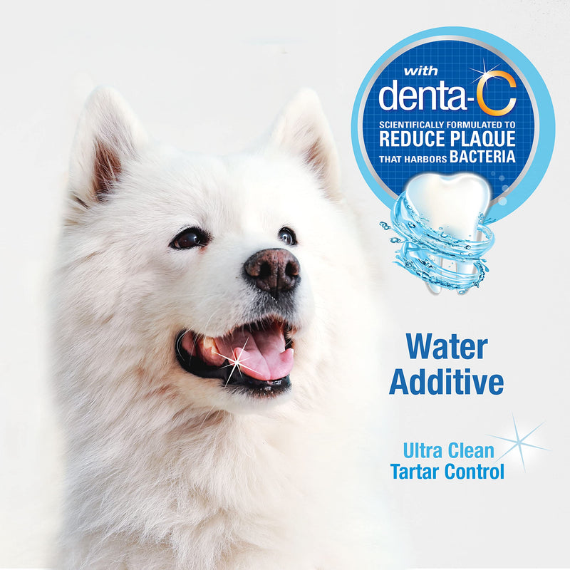 Nylabone Advanced Oral Care Dog Water Additive for Dental Care - Liquid Tartar Remover - Dog Breath Freshener & Teeth-Cleaning Liquid (16 oz.) 16 oz. (Pack of 1) - BeesActive Australia