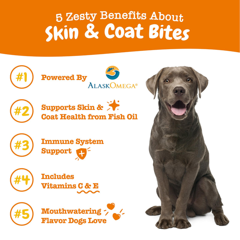 Zesty Paws Omega 3 Fish Oil for Dogs Soft Chews - Fish Oil Omega 3 Supplements for Dogs with EPA & DHA Fatty Acids - Dog Itching Skin Relief Chews - Dog Skin and Coat Supplement - Bacon - 90ct 90 Count - BeesActive Australia