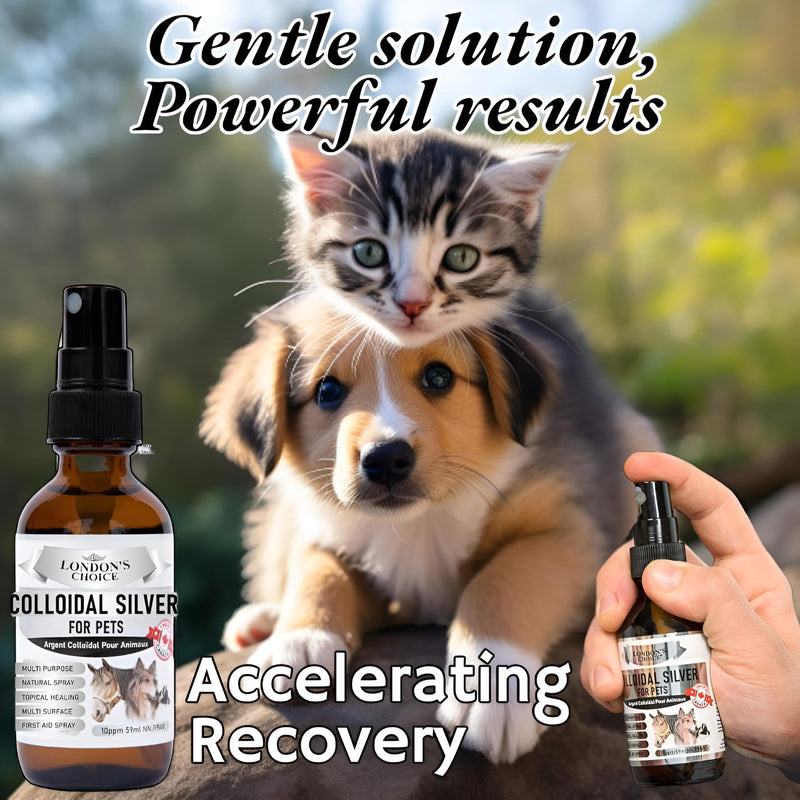 Colloidal Silver for Dogs: 2oz (59ml) Multi-Purpose Silver Spray - Optimal for Dog Wound Care, Cat Acne, and Oral Health, Essential Skin Care Spray for Pet First Aid Kits Small - BeesActive Australia