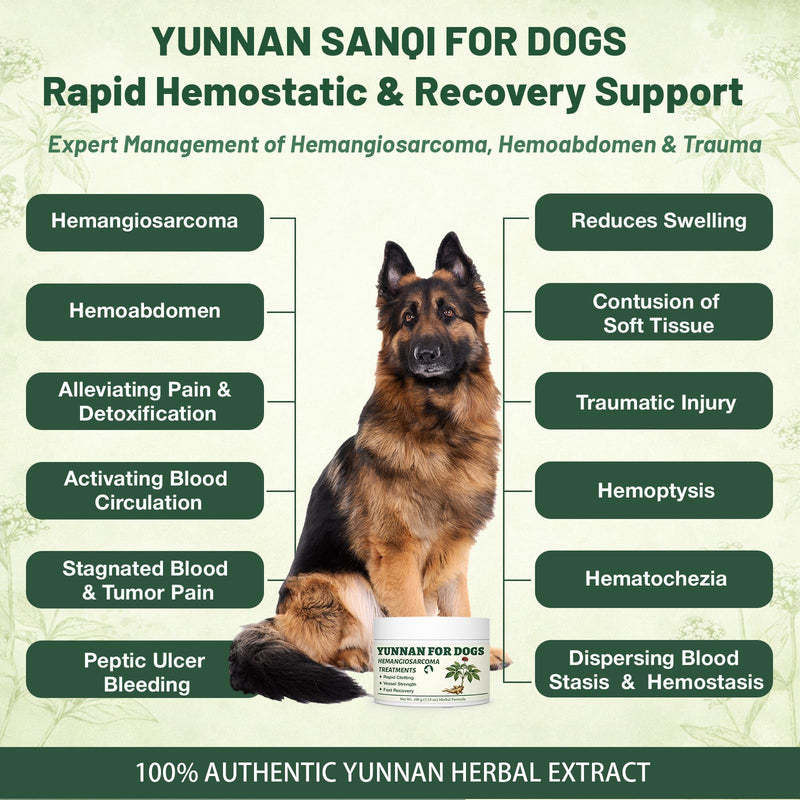 Yun nan Powder for Dogs – Natural Herbal Quick Stop Bleeding for Hemangiosarcoma, Hemoabdomen, Pericardial Effusion, Cancer Bleeding, Severe Bruising, Ulcer-Related Bleeding, Bloody Stools– 100g