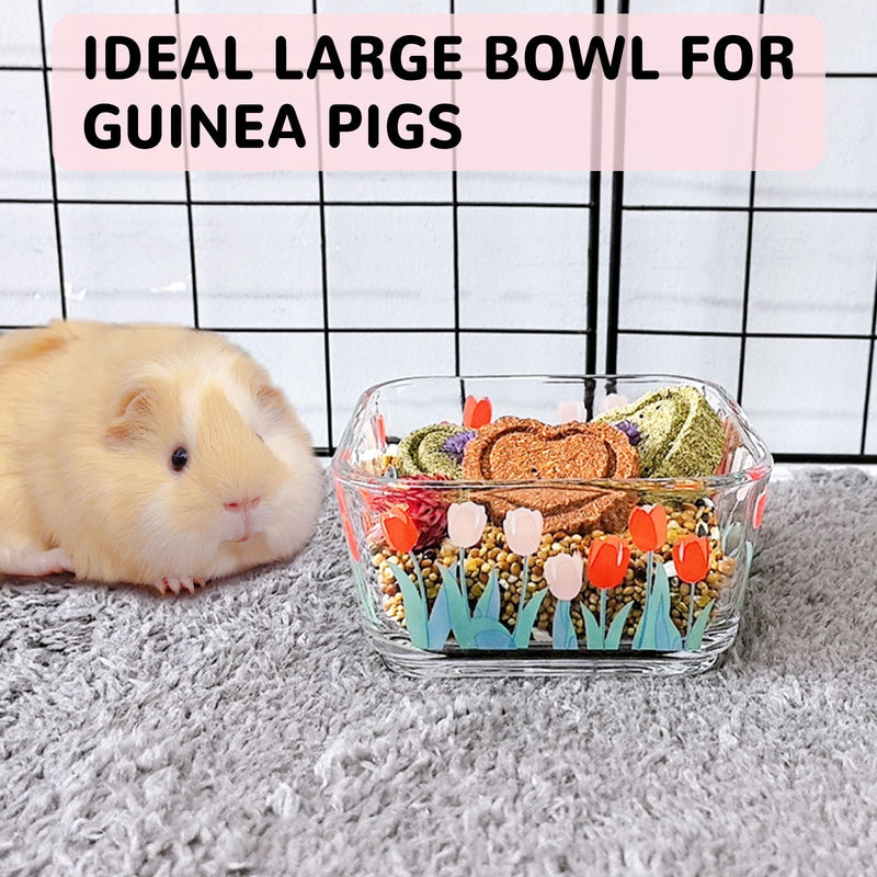 Hamster Food Bowl Glass Tulip Guinea Pig Food Dish Bowl Bunny Feeding & Water Bowls for Small Animals Syrian Hamsters Gerbil Ferret Mice Rats Rabbit Chinchilla Hedgehog (2 Pack) - BeesActive Australia