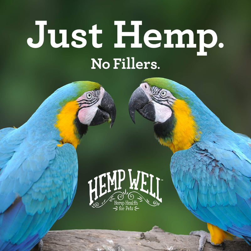 Organic Hemp Well Bird Hemp Oil – 2 Ounces. Parrot, Parakeet, Cockatiel and All Birds for Supporting Health, Feather Plucking, Destructive Behavior Reduction, Immune Support, and Relaxation. - BeesActive Australia