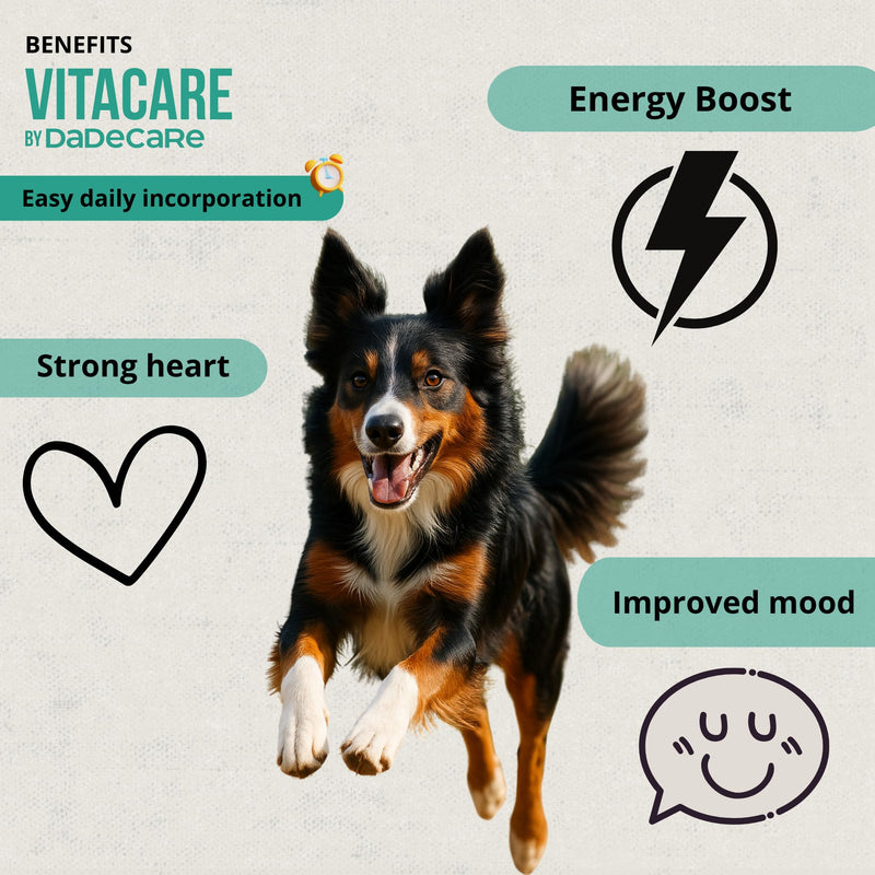 Vitacare Dog and Cat Multivitamin Supplement Powder 300g - Natural Vitamins with Kelp, Brewers Yeast and Milk Thistle - Daily Immune Support for Healthy Coat and Strong Bones