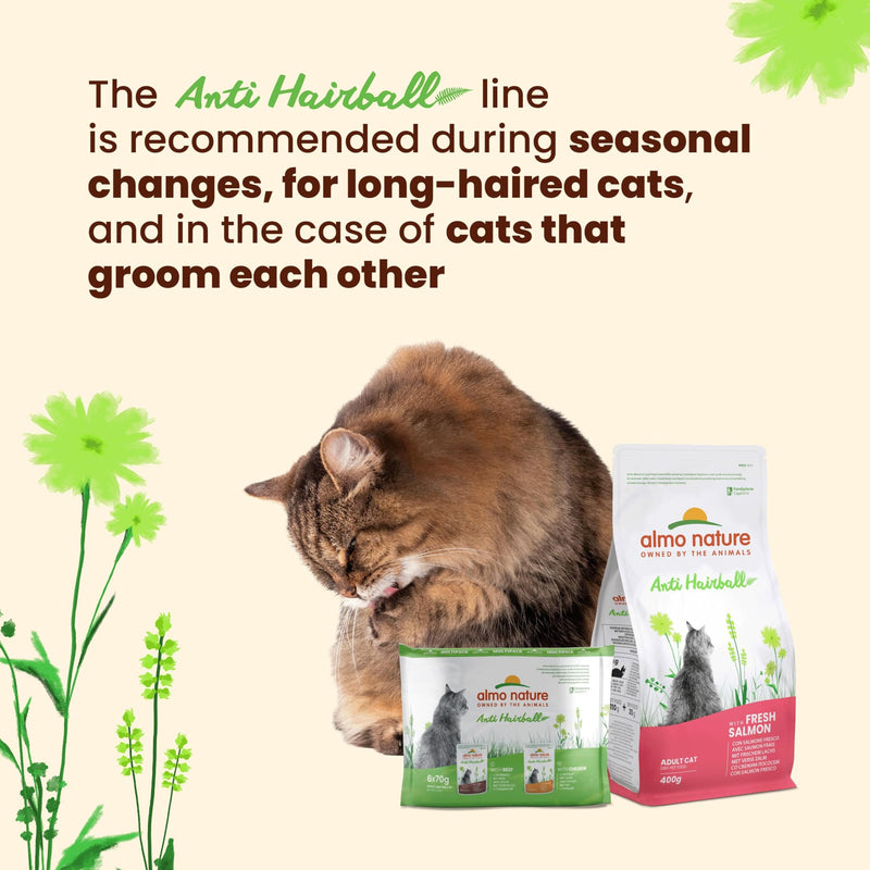 Almo Nature Functional Anti Hairball Wet Cat Food with Beef 70g 2.1 kg (Pack of 1)