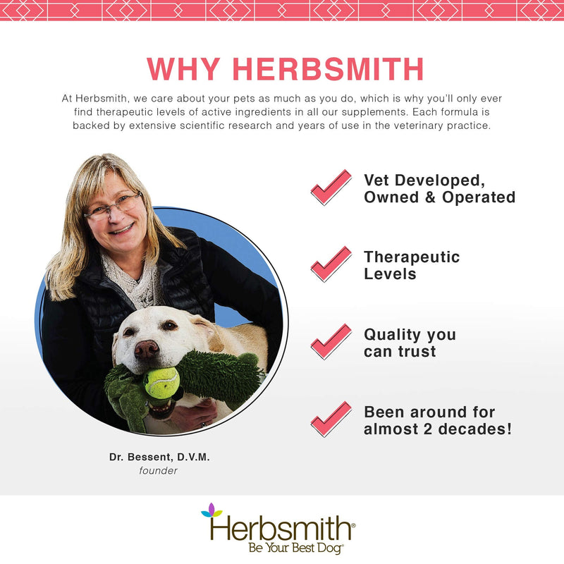 Herbsmith GastroCare - For Cats & Dogs with Sensitive Stomachs - Cat and Dog Digestive Support - Ease Canine and Feline Sensitive Stomach - 75g 75g Powder - BeesActive Australia