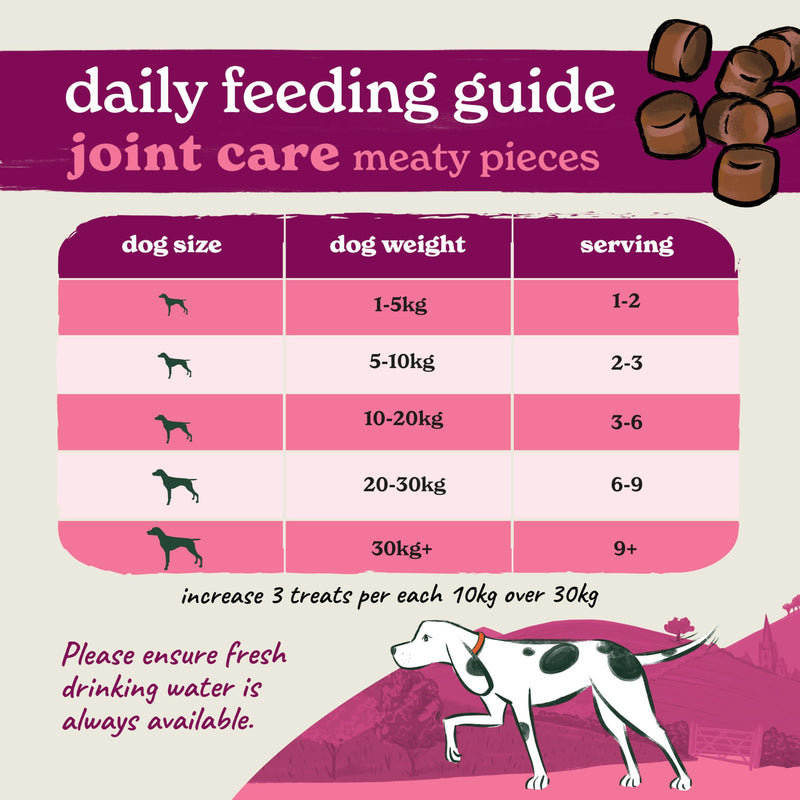 Forthglade Dog Treats, Joint Supplements for Dogs, 300g, Supports Everyday Mobility, Glucosamine & Chondroitin with Green Lipped Mussel, Algae Oil & Turmeric, Natural & Grain Free
