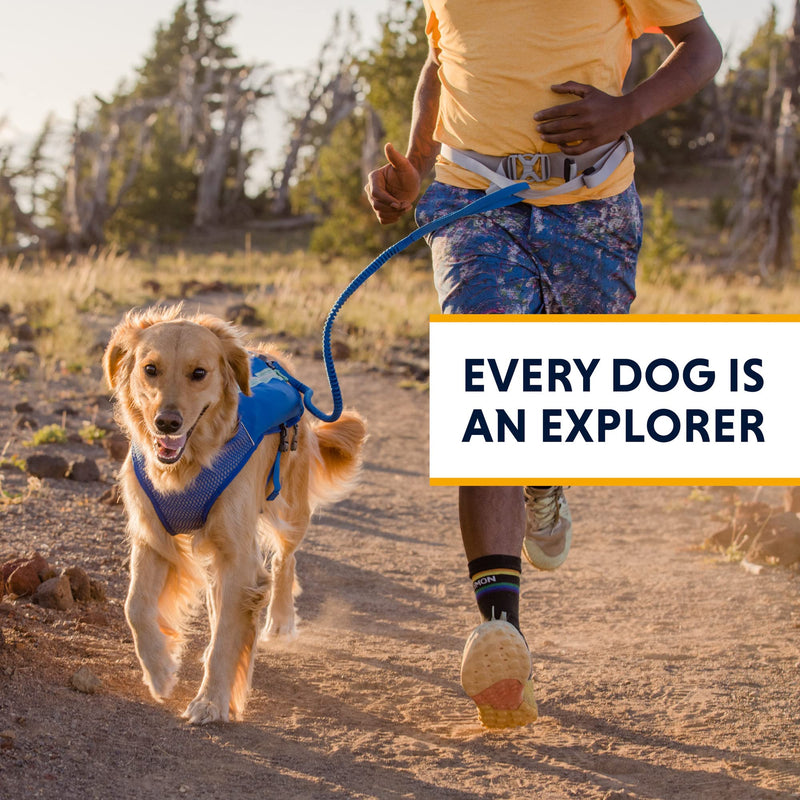 Ruffwear, Trail Runner Belt, Hands Free Adjustable with Pocket, Blue Pool, Small/Medium - BeesActive Australia