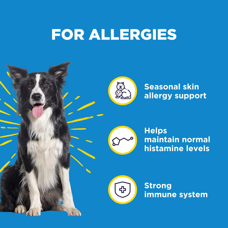 WonderBites for Fast Allergy Relief - Pet Supplement to Support Itchy Skin & Allergy Relief - Dog Skin & Coat Health Supplement - 90 Soft Chews - PawsPlanet Australia