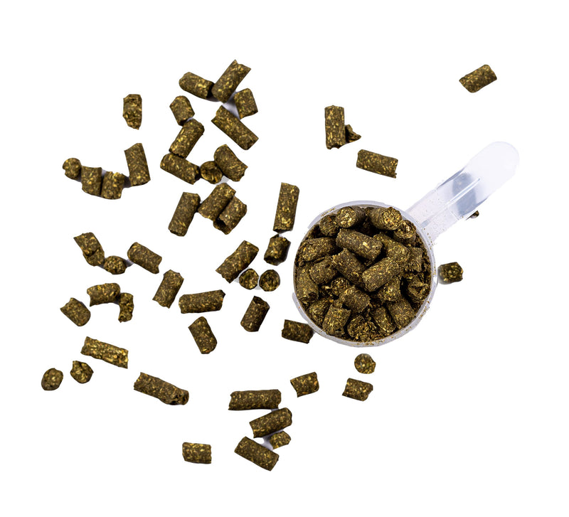 SynChill 100% Natural & Nutritional Supplement, Lab Proven Results, Designed for Focus & Performance, Approved by Olympians and Veterinarians, Daily Pellets -30 Servings, Made in USA 1 Count (Pack of 1) - BeesActive Australia