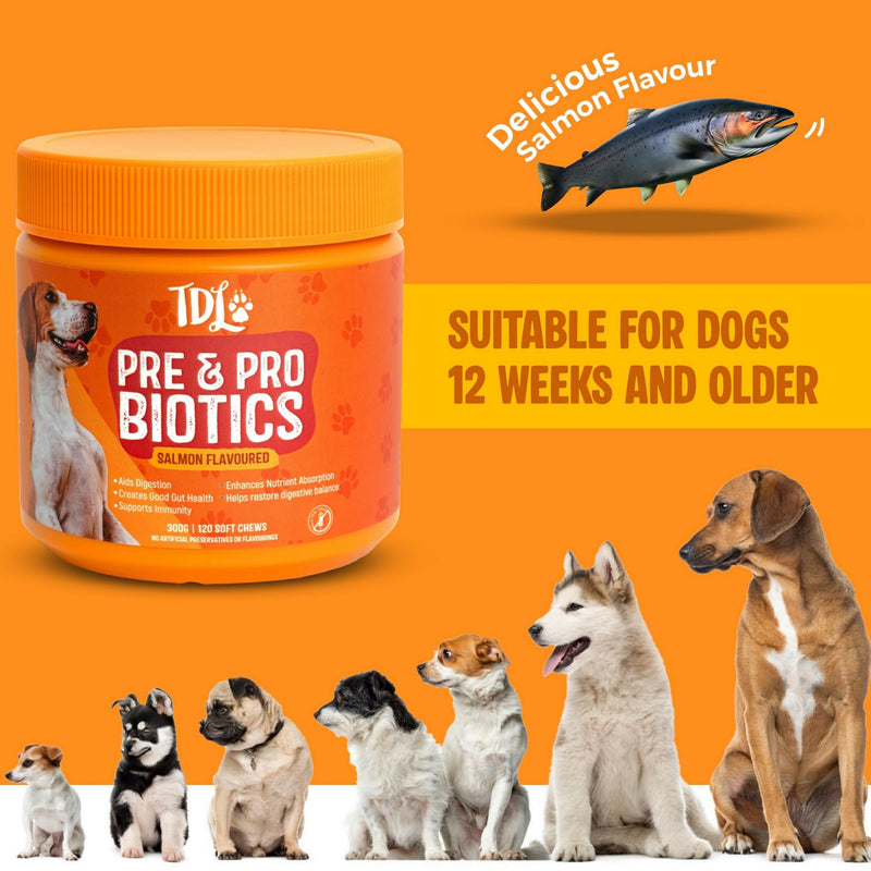 Dog Probiotic Supplements for Gut Health – 120 Soft Probiotic Chews for Dogs – Daily Canine Probiotics & Prebiotics to Support Digestion, Immunity & Sensitive Stomachs – Salmon Flavour Treats