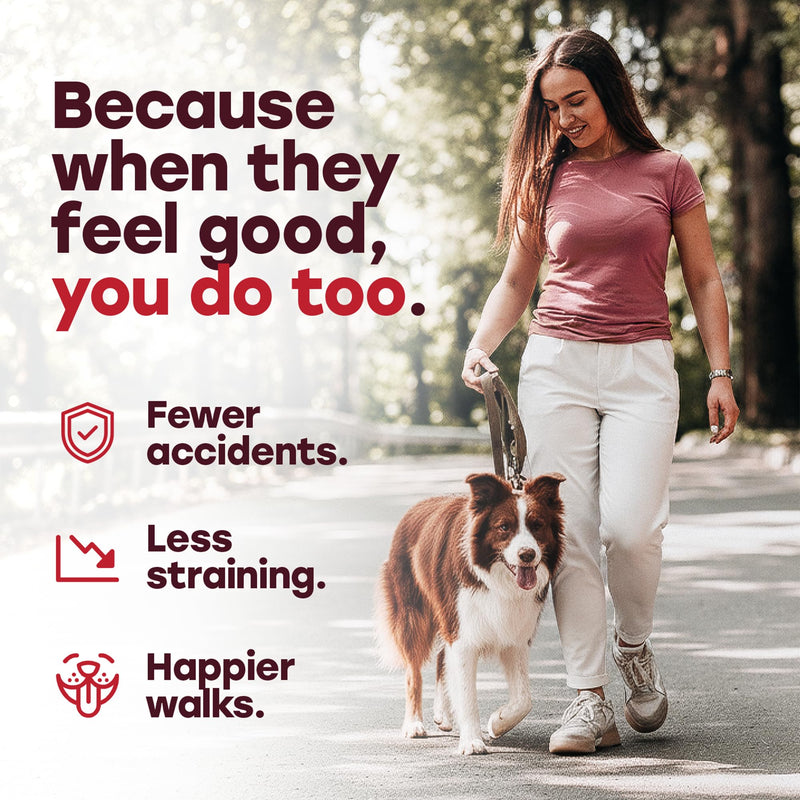Urinary Tract Supplement for Dogs – Cranberry & Bladder Support