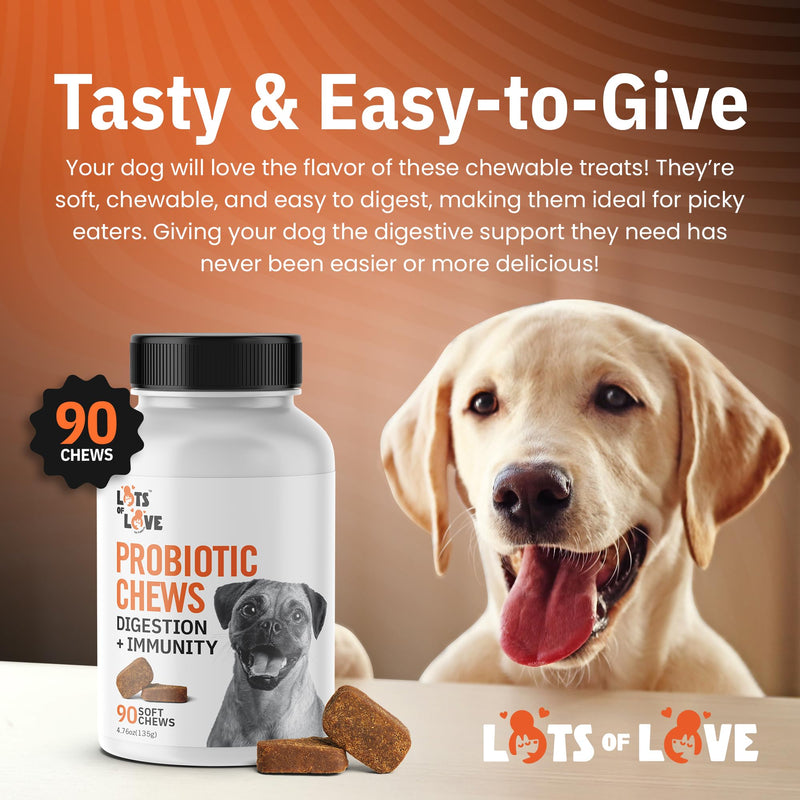 Dog Probiotic Chews (90 Count) - Dog probiotics for Digestive & Gut Health - Puppy Pro Biotic Supplement for Nausea, Vomiting & Diarrhea (90 Count) 90 Count