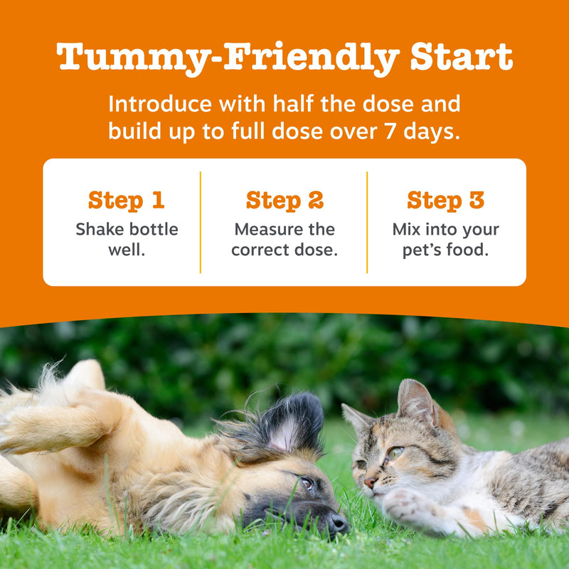 Zesty Paws Hip & Joint Salmon Oil For Cats & Dogs | Supports Mobility, Joint, Muscle, Cognitive & Cellular Health | Contains Salmon, Krill, Flaxseed Oils, Vitamin E | Daily Use | 250ml