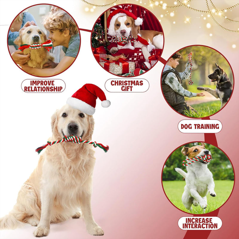 Dog Rope Toys,8 Pack Dog Chew Toys for Large Small Medium Dogs for Chewing Teething Clean Playing Training with Squeaky Toys - BeesActive Australia