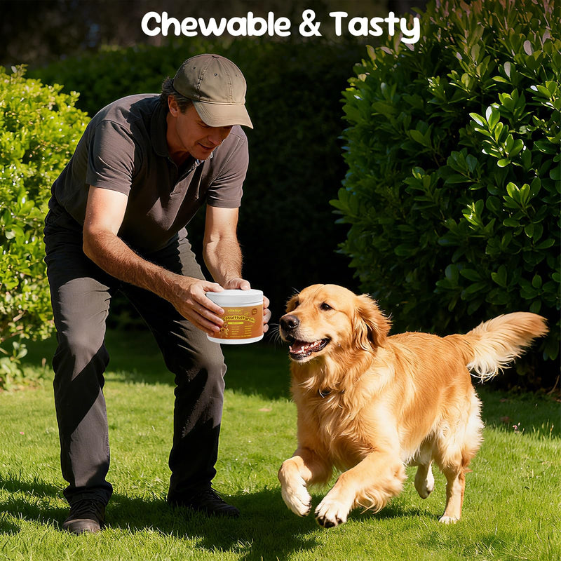 Multivitamin for Dogs - All-in-One Daily Supplement | Supports Joint, Heart, Skin, Digestion, Immune System & Liver Health (120 Chews Chicken)