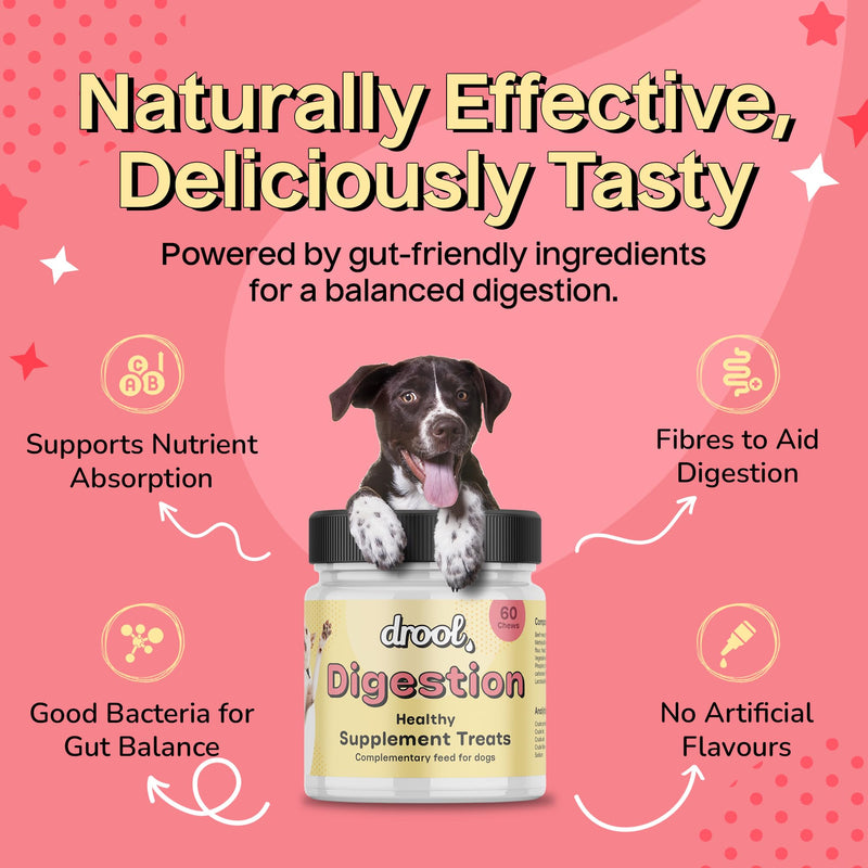 Drool Pet Products | Digestive Supplements for Dogs | Probiotics & Fibre for Dogs Gut Health | Natural Dog Digestive Supplements with Biotics for Stomach Relief | 180g (60 Chews) Beef Digestion