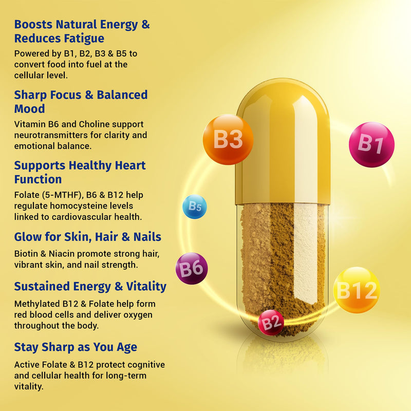 1 Body Methylated B Complex, 5-MTHF Folate & Methyl B12, Twin Pack | Not All B Vitamins Are the Same. Features active forms like 5-MTHF folate and methyl B12 for daily wellness support.* 60 Count (Pack of 2)