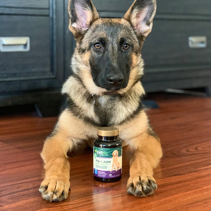 PetNC Natural Care Level-1 Hip & Joint Health Supplement for Younger Dogs,60 Chewable Tablets, 500mg Glucosamine, 100mg Chondroitin, 10mg MSM & 1mg Hyaluronic Acid, Vitamin C & Manganese, Liver Flavor Level 1