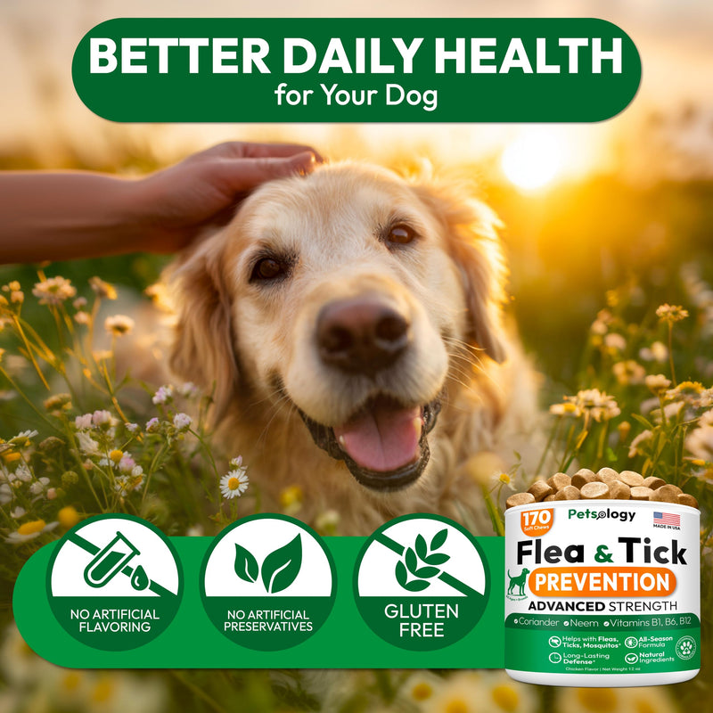 (2 Pack) Flea and Tick Prevention for Dogs Pills - 340 Chews - Natural Dog Flea & Tick Control - Oral Defense Treatment for Dogs Supplement - Vet Formulated - All Breeds & Ages - Made in USA Chicken 340 Chews - Value Pack
