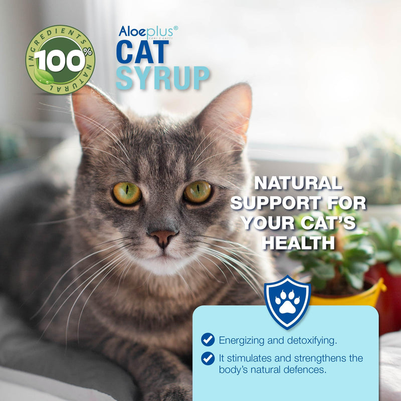 Cat Aloe Syrup 100ml - Cat Immune Support, Cat Supplement Energy, Detoxifying with Organic Aloe Arborescens, Ideal as Cat Stress Relief and Restorative for Elder Cats and Kittens