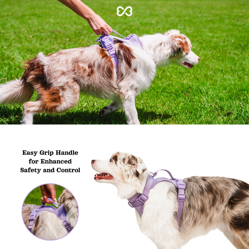 Adjustable Dog Harness with Handle | BearBone No Pull Dog Vest Harness | Front Clip Harness for Dogs | Best Dog Harness for Walking and Training | Medium Dog Harness | Lilac Dog Harness - BeesActive Australia