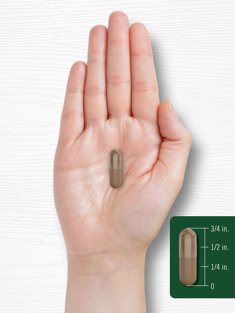 Carlyle Valerian Root Capsules | 240 Count | Herb Extract Supplement | Non-GMO, Gluten Free - BeesActive Australia