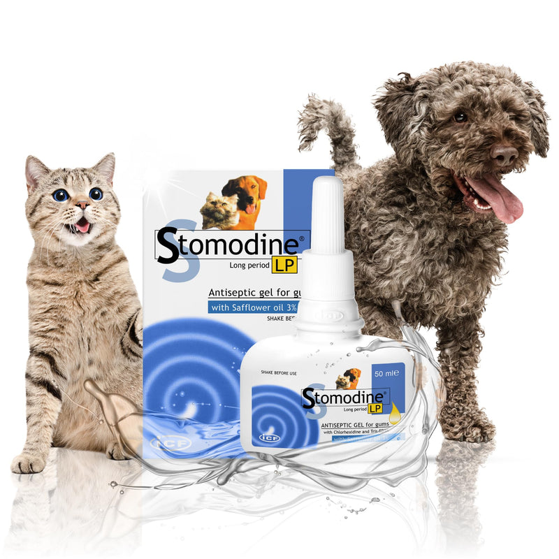 ICF | Stomodine Long Period Cat & Dog Toothpaste Gel for Pets' Oral Hygiene Gum Health | Bad Breath Meat Flavoured | 50 ml