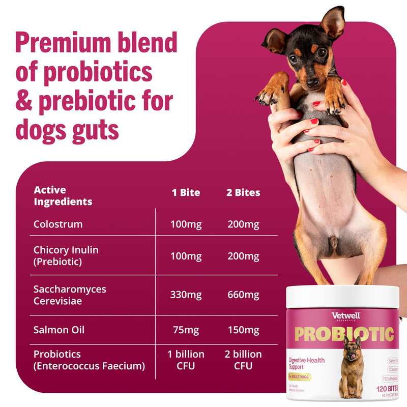 Vetwell Probiotics for Dogs - 120 Chews, Digestive Care with Dog Probiotics Enterococcus Faecium, Colostrum from Bovine, Prebiotic Chicory Inulin, Liver Flavour Dog Probiotic Supplements