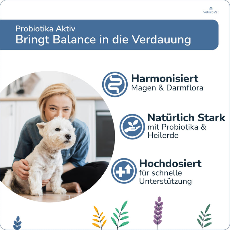 VeloraVet Probiotics Dog - stomach intestinal cleansing & intestinal treatment for dog intestinal flora, prebiotics, psyllium husks & healing clay, veterinary recommended for diarrhea, heartburn - 60 tablets full of care - BeesActive Australia