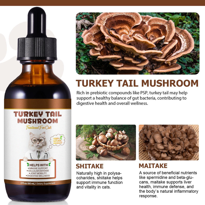 Turkey Tail Mushroom Liquid Drops for Cats - with Reishi, Maitake, Probiotics & Turmeric - Natural Flavour, 60ml