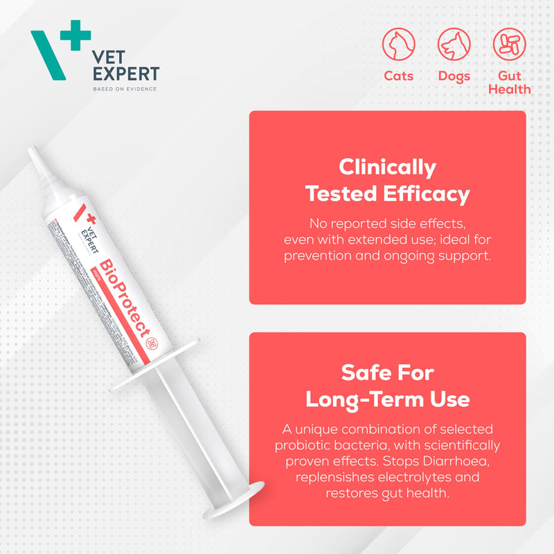 Vet Expert BioProtect Paste – Digestive Support for Dogs and Cats, Relieves Diarrhoea, Boosts Gut Health, and Restores Intestinal Balance with Probiotics, Prebiotics, and Bentonite (15 ml Syringe)