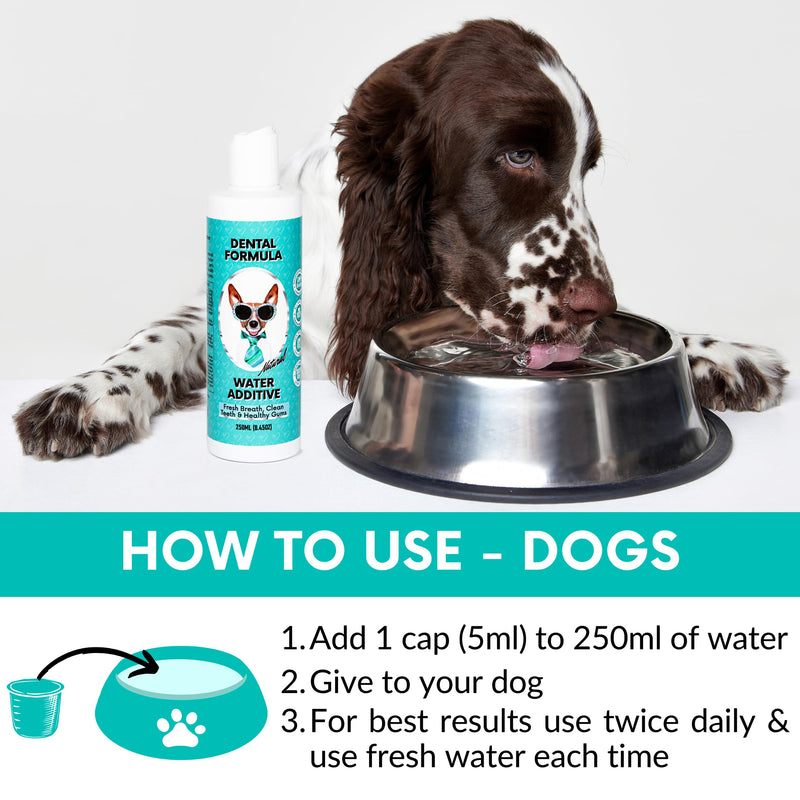 NutriPaw Dental Formula Water Additive For Dogs & Cats - Clean Teeth, Healthy Gums & Fresh Breath - Manage Plaque & Tartar Build-Up - Fuss-Free - No Brushing Needed - Cat/Dog Mouthwash & Oral Health Single Pack