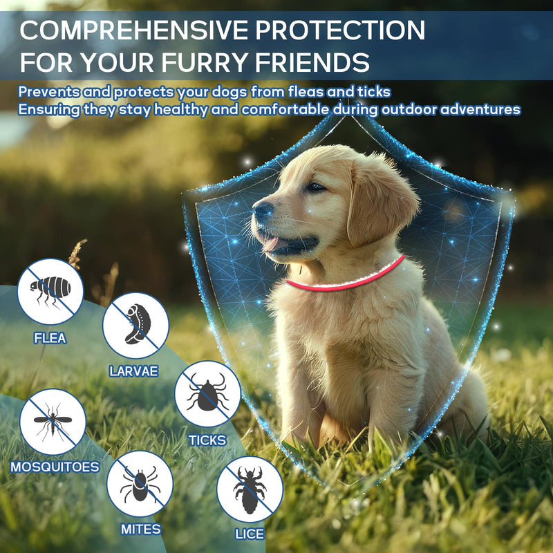 4 Pack Flea and Tick Collar for Dogs- Adjustable Dog Flea and Tick Collar- 32 Months Dog Flea and Tick Treatment - Water Resistant Dog Flea Collars for Puppy Small Medium Large Dog- Red & White - BeesActive Australia