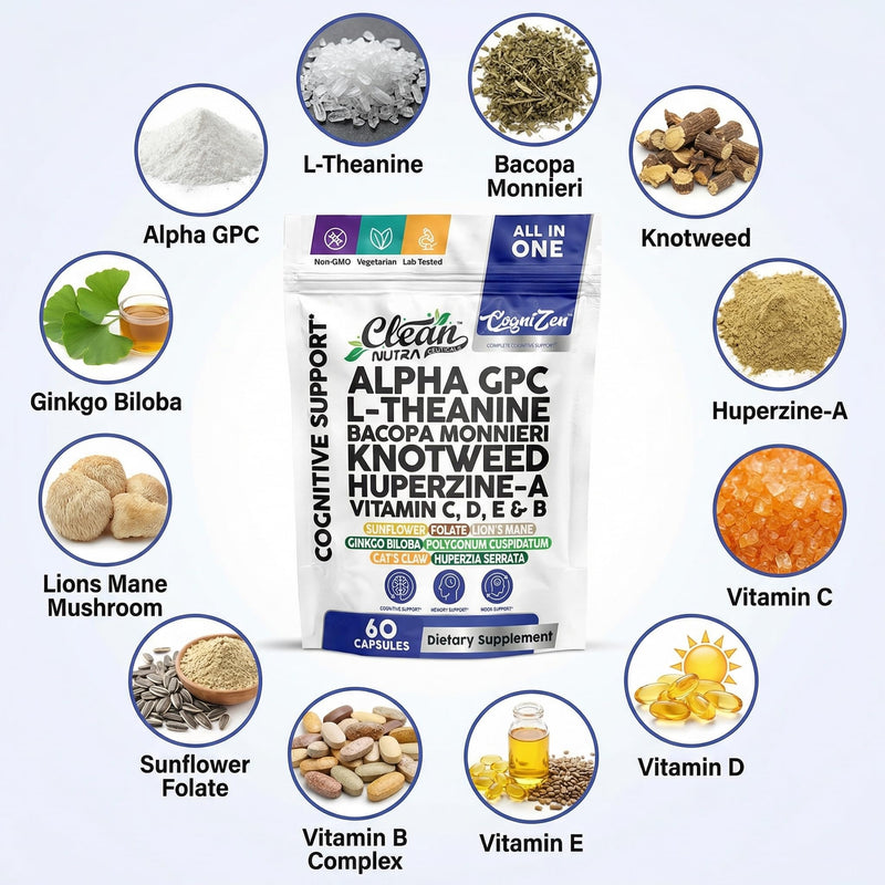 Alpha GPC 600mg Supplement | L Theanine Nootropic Brain Supplement with Bacopa Monnieri Lions Mane Resveratrol Ginkgo Biloba Huperzine A – Focus Memory Cognitive Support – 60 Vegetarian Capsules