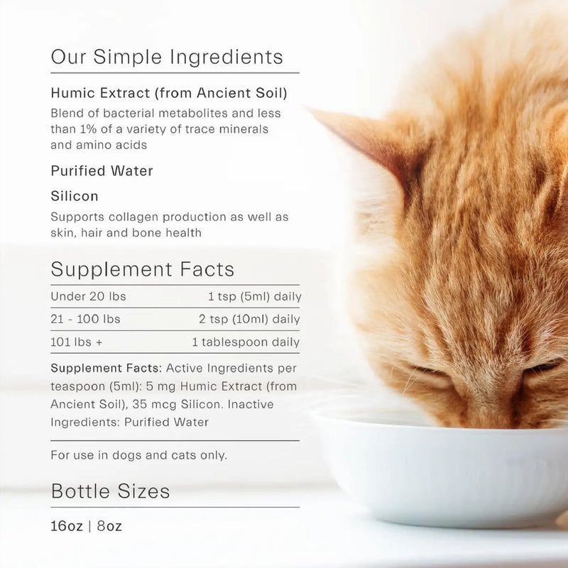 ION* Gut Support + ION* Pet Support (8oz Bundle) - BeesActive Australia