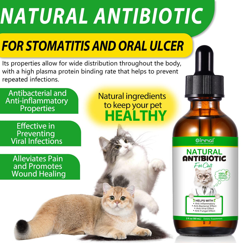 2 Pack Antibiotics for Cats, Premium Cat Antibiotics Supplemen, Cats Multivitamin, Natural Antibiotic for Cats, Cat Antibiotic, Cat Antibiotics Supports Immune & Cats Allergy Relief 2 Fl Oz (Pack of 2) - BeesActive Australia