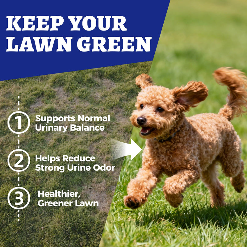260 Bites Green Grass Bites for Dogs - Grass Savers for Dog Urine, Green Lawn Chews with Crabberry & Probiotic & Digestive Enzymes for Urinary Tract & Bladder - Chicken Flavor