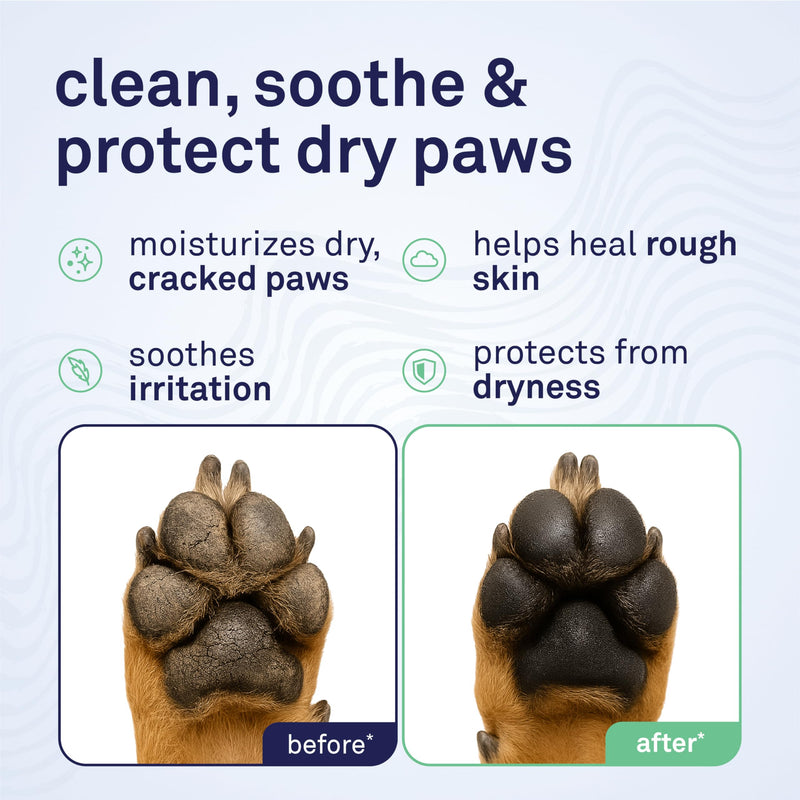 Petpost | Paw Balm for Dogs - Nourishing Cream Soothes Itchy, Dry Dog Paws with Moisturizing Ingredients - Organic Coconut Oil, Jojoba Oil, and Shea Butter 0.64 oz.