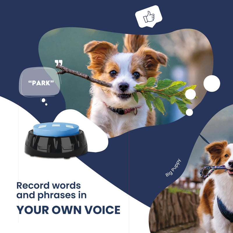 Puppy´s Talk Recordable Dog Buttons - Talking Buttons for Pet Communication - Speaking Button for Dog Training - Teach Your Dog How to Communicate Through Words - Set of 4 - Easy to Use - BeesActive Australia