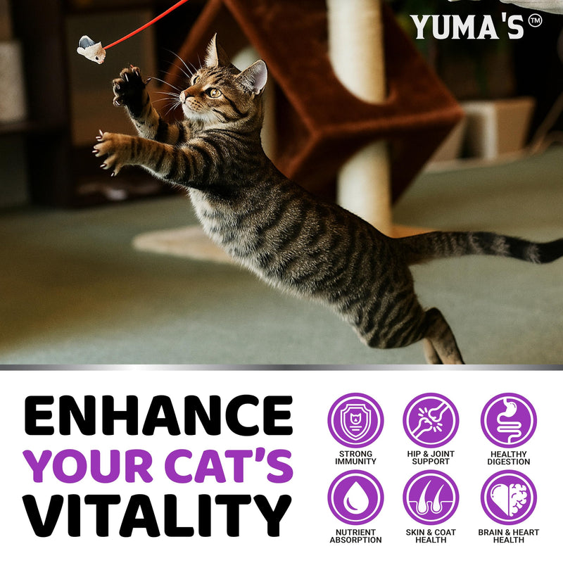 Cat Multivitamin Chews - Cat Vitamins and Supplements - Taurine & Lysine for Cats - Omega-3, Glucosamine, Cranberry - Skin & Coat, Hip & Joint Support - Immune Health, Skin, Heart, Digestion Cat Multivitamin 120 Chews