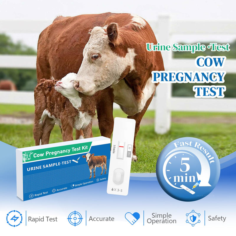 2 Pack Cow Pregnancy Test Kit for Home & Small Farms: Painless Urine Test, Fast 5-10 Min Results, Easy to Use, Safe & Accurate Early Detection, Reliable Solutions for Bovine Pregnancy Detection White - BeesActive Australia
