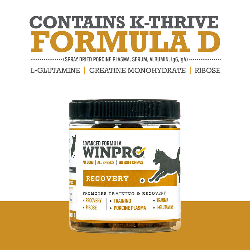 WINPRO Recovery Chews for Dogs, Plasma-Powered for Active Dogs, Immune System Support, and Dog Training Support for Competition and Sport Muscle Recovery and Agility, 60 Count, Made in USA - PawsPlanet Australia