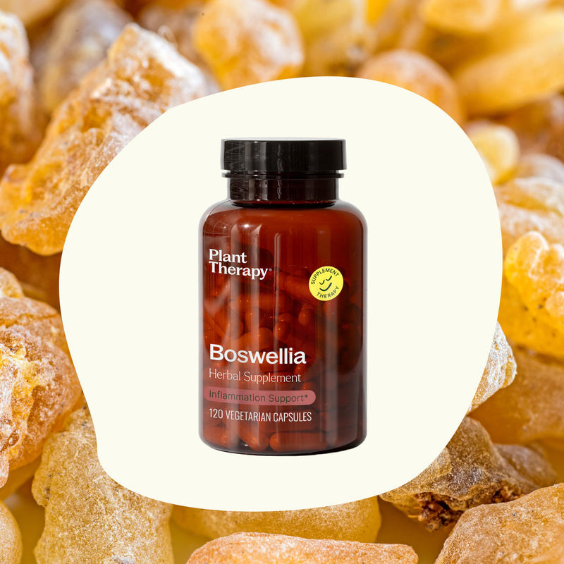 Plant Therapy Boswellia Herbal Supplement Capsules, Supports Joint Flexibility and Comfort, Soothes Discomfort, Promotes Clear, Healthy Skin, 120 Vegetarian Capsules - BeesActive Australia