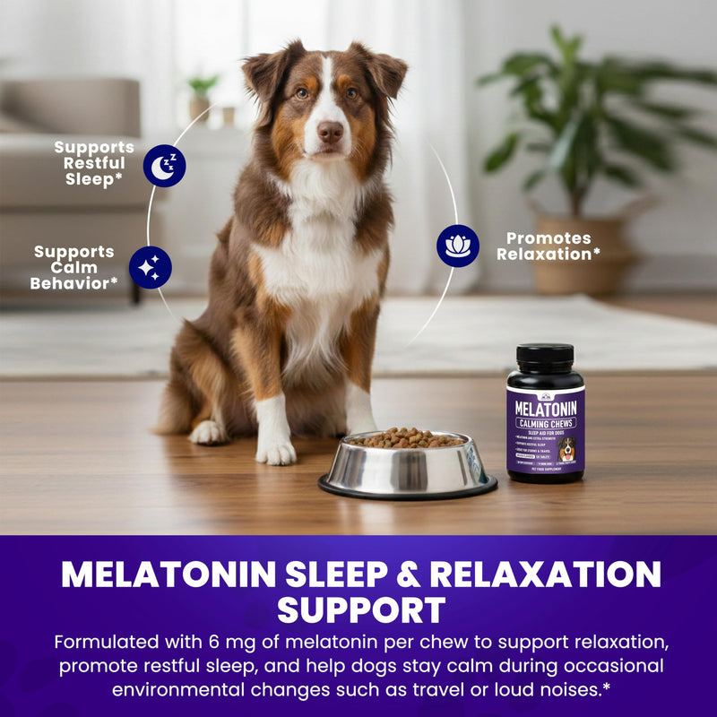 Melatonin for Dogs to Sleep (6mg Dog Sleep Aid) Dog Melatonin for Large Dogs - Help Reduce Stress from Storms, Separation & Anxiety - Puppy Calming Chews - 3rd Party Tested, 120 Chicken Flavor Tablets