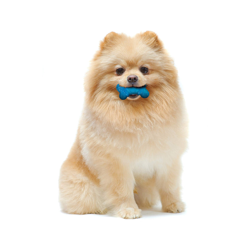 Nylabone Moderate Chew FlexiChew Bone Peanut Butter & Bacon XX-Small/Tiny (2 Count) - BeesActive Australia