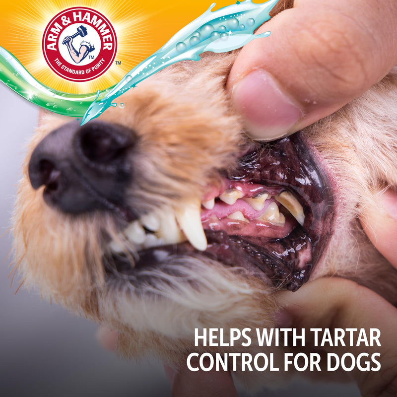 Arm & Hammer Complete Care Brushless Dental Kit for Dogs – Includes No-Brush Oral Gel + Dog Dental Spray, Fresh Breath, Tartar Control, Baking Soda Enhanced Dental Dog Supplies, 4 Fl Oz Each Dental Kit - Peanut Butter & Mint 4 Fl Oz (Pack of 2)