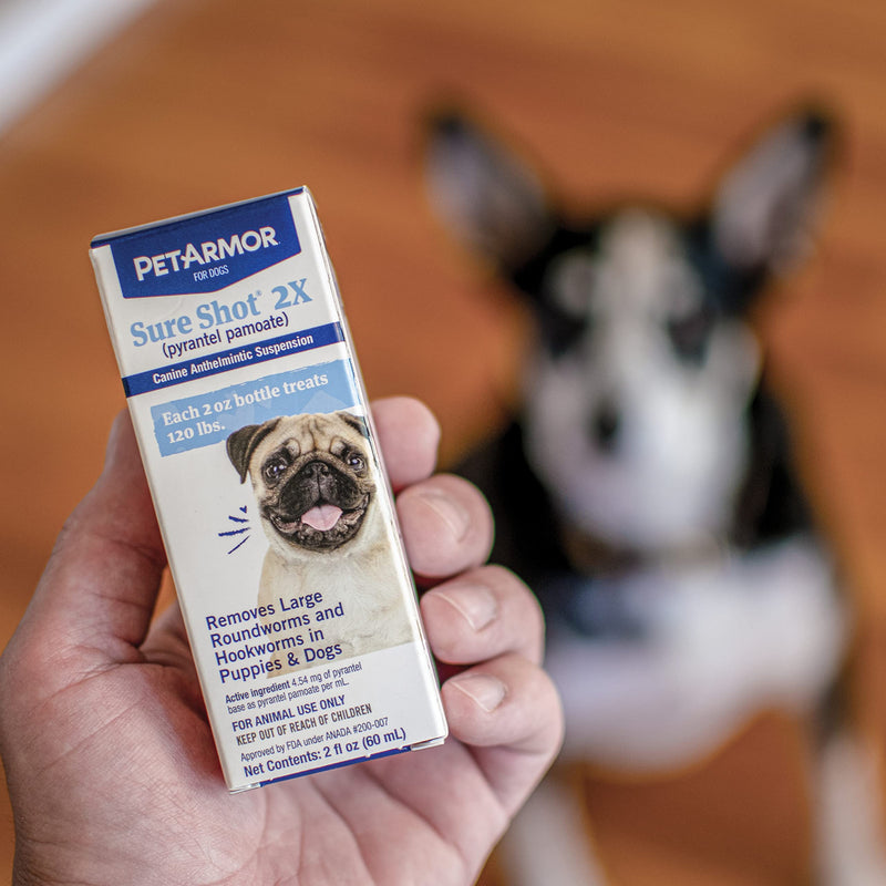PetArmor Sure Shot Liquid De-Wormer for Dogs and Puppies, Liquid De-Wormer Treats Roundworms & Hookworms in Dogs and Puppies 2 Weeks and Older, For Dogs Under 120 lbs, 2 ounces - BeesActive Australia