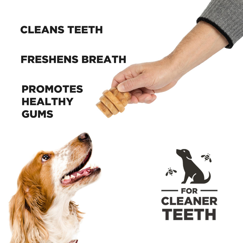 PROJECT HIVE ·PET COMPANY· Dental Chew Treats for Dogs, – Peanut Flavor, Dental Treats, Cleans Teeth & Freshens Breath, Vegetarian, No Grain or Soy (9 oz (Pack of 2), Large Hive Chews) 2-pack