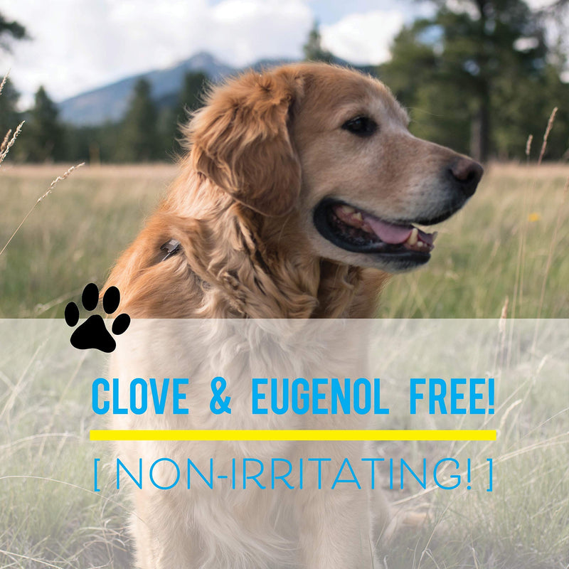 Dog Whisperer Tick + Flea Repellent, All-Natural, Extra Strength, Effective on Dogs and Their People (16 Ounce Spray) 16 oz - BeesActive Australia